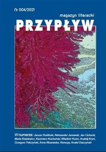 Przypływ nr 4 polish usa