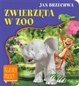 Zwierzęta w zoo to buy in Canada