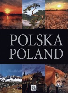 Polska Poland  