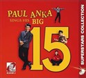 Big 15 CD  - Polish Bookstore USA