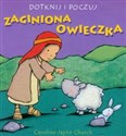 Dotknij i poczuj Zaginiona owieczka  