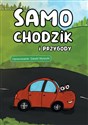 Samochodzik i przygody  