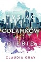 Tysiąc odłamków ciebie Polish Books Canada
