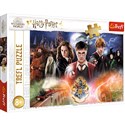 Puzzle 300 Tajemniczy Harry Potter - 