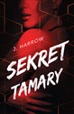 Sekret Tamary books in polish