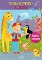 Akademia przedszkolaka Poznaję cyferki W ZOO buy polish books in Usa