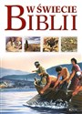 W świecie Biblii Przewodnik po Starym i Nowym Testamencie - Tim Dowley online polish bookstore