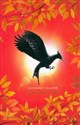 Catching Fire Deluxe  online polish bookstore