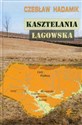 Kasztelania łagowska bookstore