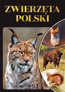Zwierzęta Polski - Polish Bookstore USA