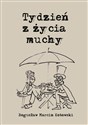Tydzień z życia muchy - Polish Bookstore USA