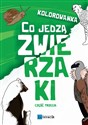 Kolorowanka: Co jedzą zwierzaki cz.3  - Polish Bookstore USA