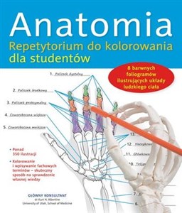 Anatomia Repetytorium do kolorowania dla studentów - Polish Bookstore USA