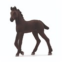 Źrebię fryzyjskie SLH13977 - 