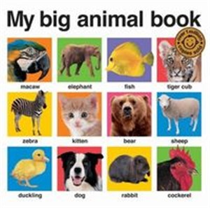 My Big Animal Book 