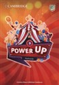 Power Up Level 3 Flashcards (Pack of 175) in polish