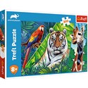 Puzzle 300 Niesamowite zwierzęta Animal Planet - 