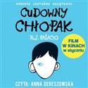 [Audiobook] Cudowny chłopak - R.J Palacio  