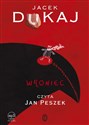 [Audiobook] Wroniec - Jacek Dukaj  