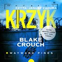 [Audiobook] Krzyk in polish