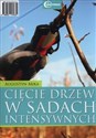 Cięcie drzew w sadach intensywnych + CD - Polish Bookstore USA