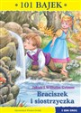 Braciszek i siostrzyczka 101 bajek Polish bookstore