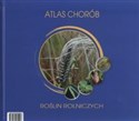 Atlas chorób roślin rolniczych pl online bookstore