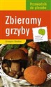 Zbieramy grzyby chicago polish bookstore