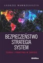Bezpieczeństwo strategia system Teoria i praktyka w zarysie Polish bookstore
