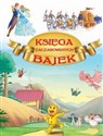 Księga zaczarowanych bajek online polish bookstore