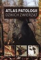 Atlas patologii dzikich zwierząt  