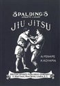 Jiu-Jitsu in polish