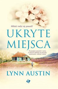 Ukryte miejsca buy polish books in Usa