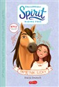 Pamiętnik Lucky. Spirit Riding Free - Stacia Deutsch