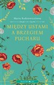 Między ustami a brzegiem pucharu - Maria Rodziewiczówna