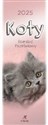 Kalendarz 2025 pocztówkowy Koty  polish usa
