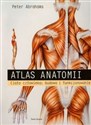 Atlas anatomii Ciało człowieka budowa i funkcjonowanie pl online bookstore