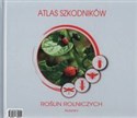 Atlas szkodników roślin rolniczych Polish bookstore