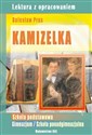 Kamizelka szkoła podstawowa, gimnazjum, szkoła ponadgimnazjalna. Lektura z opracowaniem. books in polish