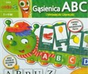 Karotka Gąsienica ABC 