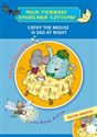 Cathy the Mouse is Sad at Night Polish Books Canada