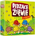 Pędzące Żółwie Extreme 