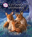 Czytanka usypianka Polish bookstore