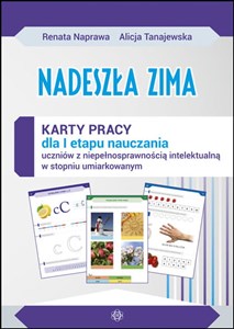 Nadeszła zima Karty pracy sztywna teczka dla I etapu nauczania uczniów z niepełnosprawnością intelektualną w stopniu umiarkowanym books in polish