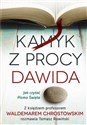 Kamyk z procy Dawida Jak czytać Pismo Św. Bookshop