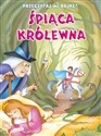 Przeczytaj mi bajkę Śpiąca królewna bookstore