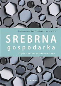 Srebrna gospodarka Ujęcie społeczno-ekonomiczne  