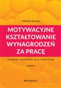 Motywacyjne kształtowanie wynagrodzeń za pracę polish books in canada