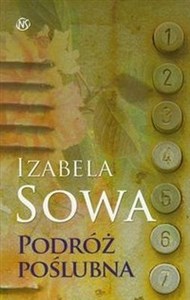 Podróż poślubna buy polish books in Usa