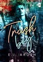 Trash Boy  - Polish Bookstore USA